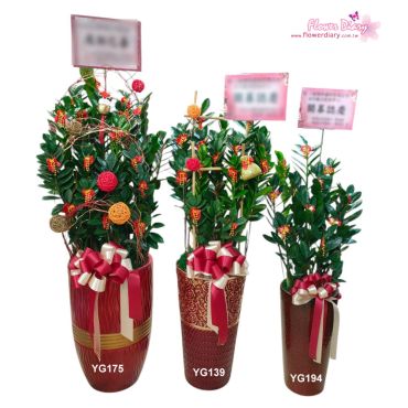 台北花店 花日記花坊 駿業日新~落地型金錢樹藝術盆栽 開幕、喬遷、榮陞