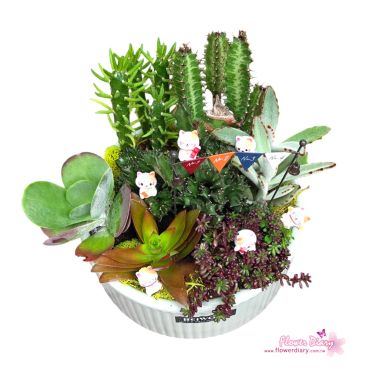 台北花店設計 招好運貓貓樂園  多肉植物組合盆栽