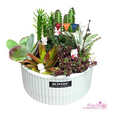 台北花店設計 招好運貓貓樂園  多肉植物組合盆栽