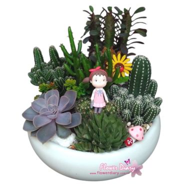 台北花店設計 多肉森林  多肉植物組合盆栽