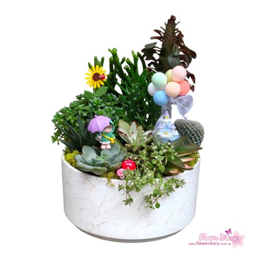 台北花店設計 天外奇蹟-火箭城堡版  多肉植物組合盆栽