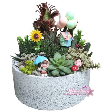 台北花店設計 天外奇蹟  多肉植物組合盆栽