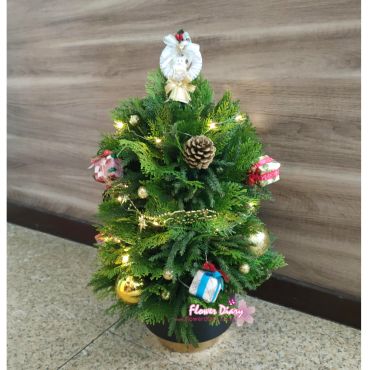 花日記花坊 聖誕快樂~聖誕樹