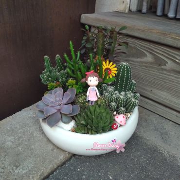 台北花店設計 多肉森林  多肉植物組合盆栽